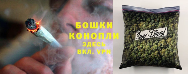 сатива Усинск
