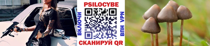 Галлюциногенные грибы GOLDEN TEACHER  Купить  Нытва 
